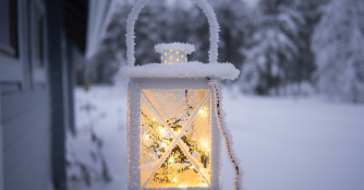 Stuck Image by Unsplash. Property of Mira Kemppainen