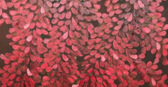 'Red Petals'. 'Spring Petals