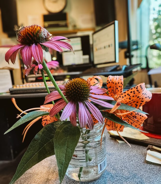 Flowers in the studio at KVNO.