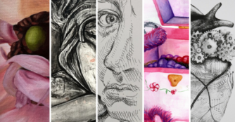 Small snippets of artwork is shown with the names of the artists: Gangwish, Miller, Hough, Nelson, and Scheopner.