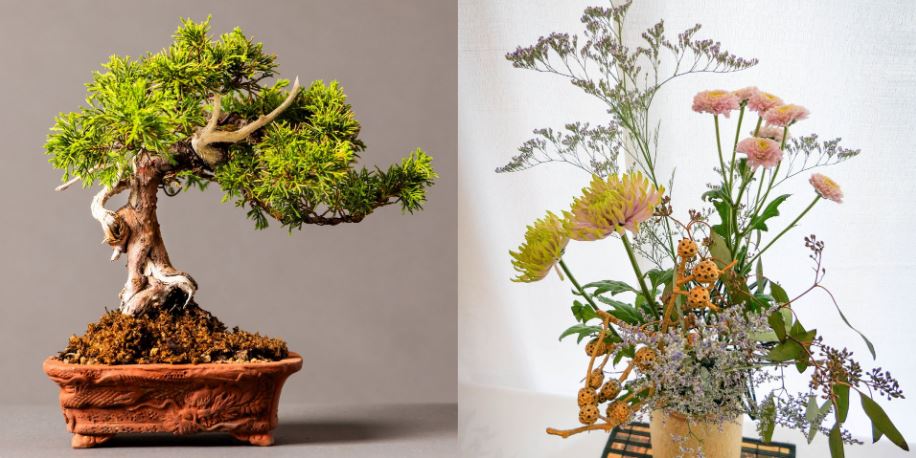 A collection of carefully shaped bonsai trees displayed on tables, showcasing miniature landscapes with twisted trunks, delicate leaves, and artistic arrangements.