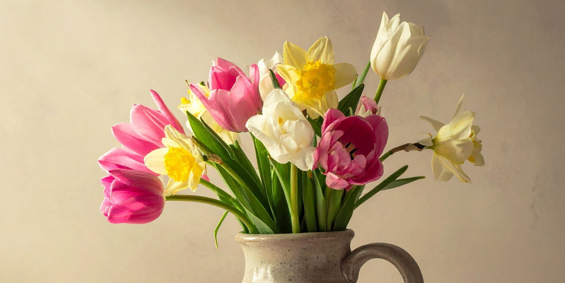 Colorful flowers in a vase