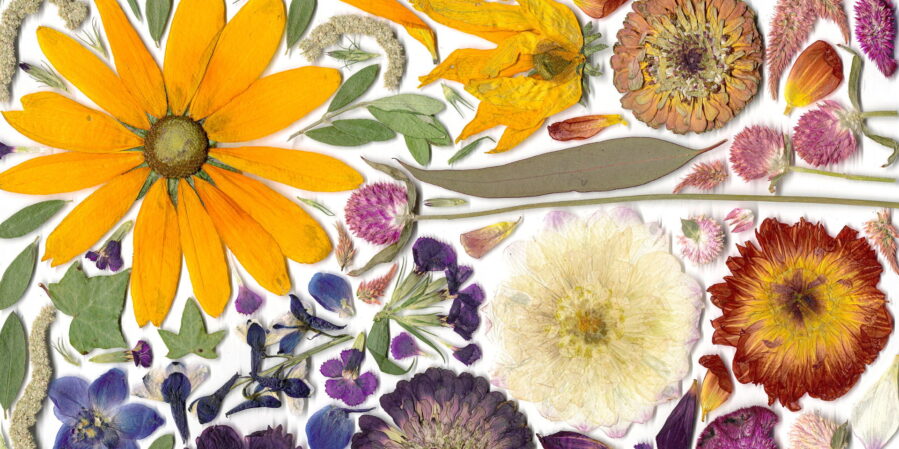 Greeting Cards and Gift Tags Workshop