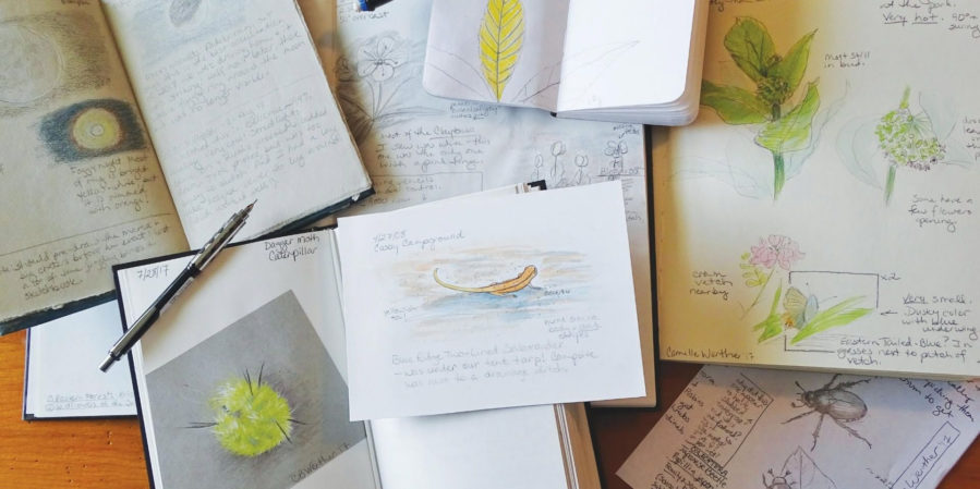 a couple of drawings in books