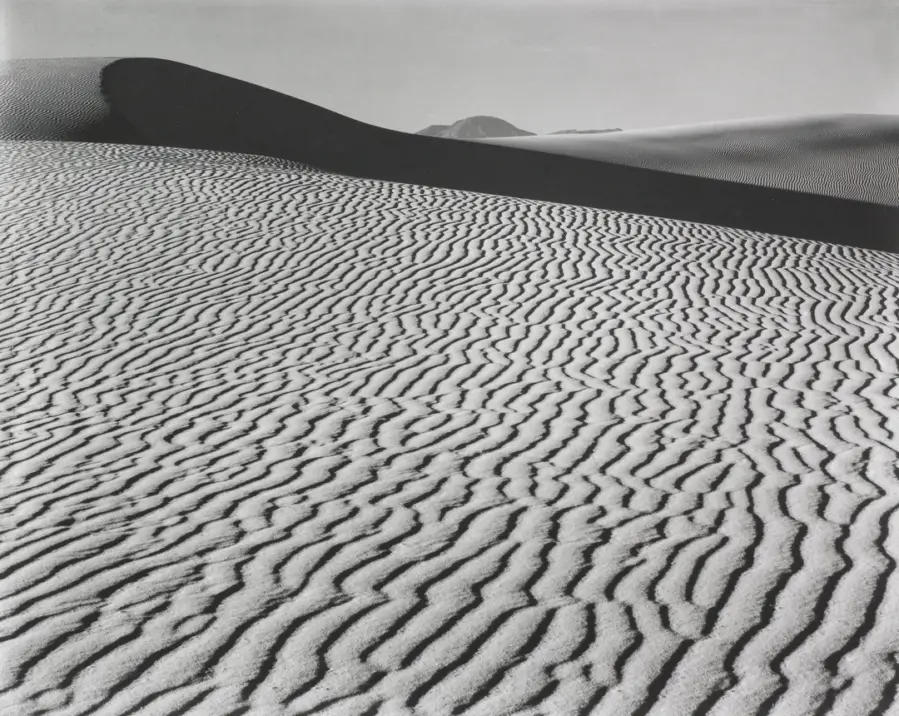Black and white picture of a desert