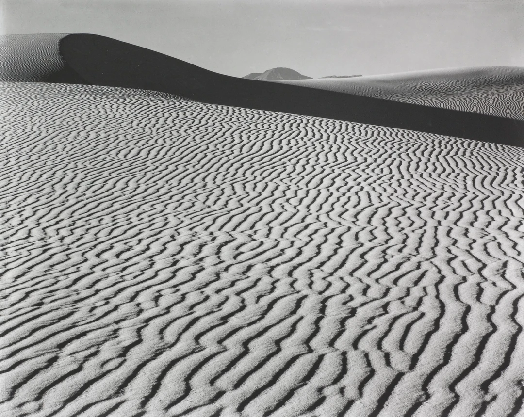 Black and white picture of a desert